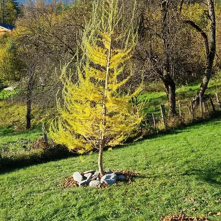 Petit Mazot Savoyard Chata Servoz