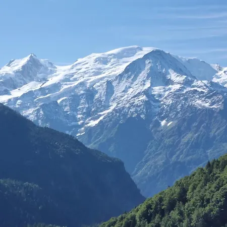 بيت خشبي Petit Mazot Savoyard *